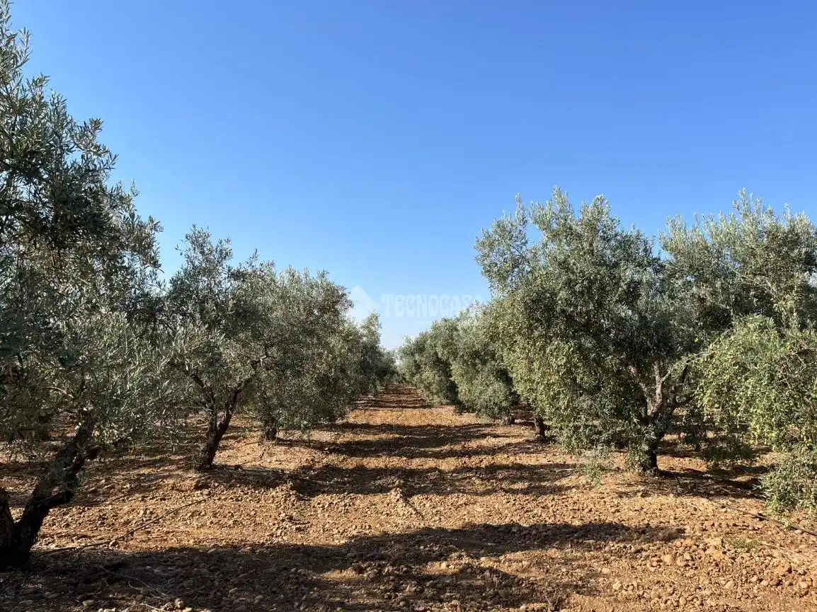 Maison rustique à vendre à Carmona, imagen 18