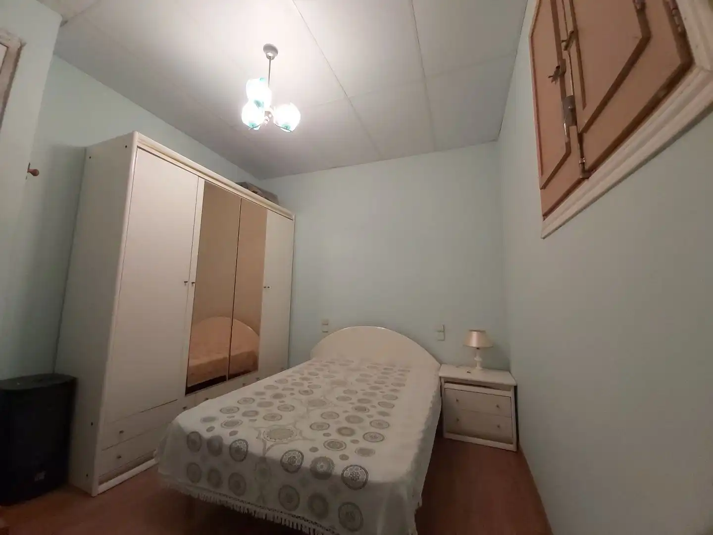 House with garden for sale in PASAJE  CLAVELLS 3, imagen 31