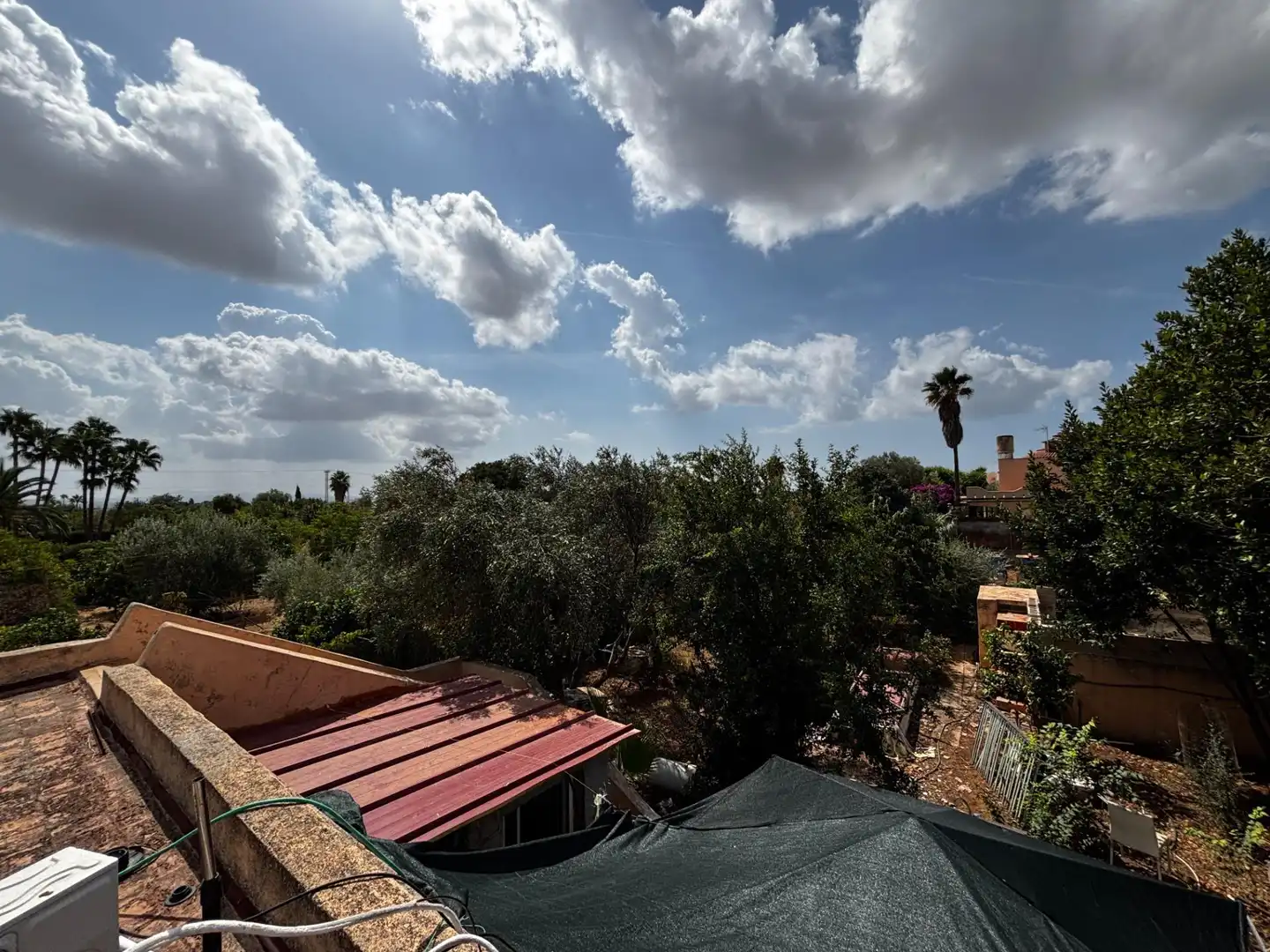 Jardí de Casa o xalet en venda en  Palma de Mallorca amb Jardí privat i Moblat