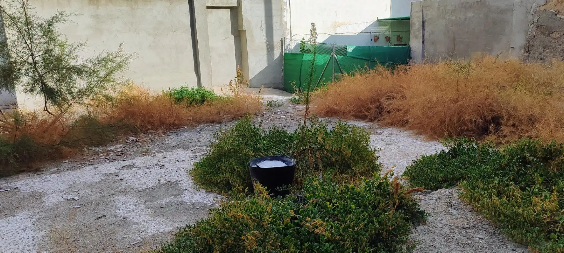 Terrenos y solares en venta en Olula del Río, imagen 5
