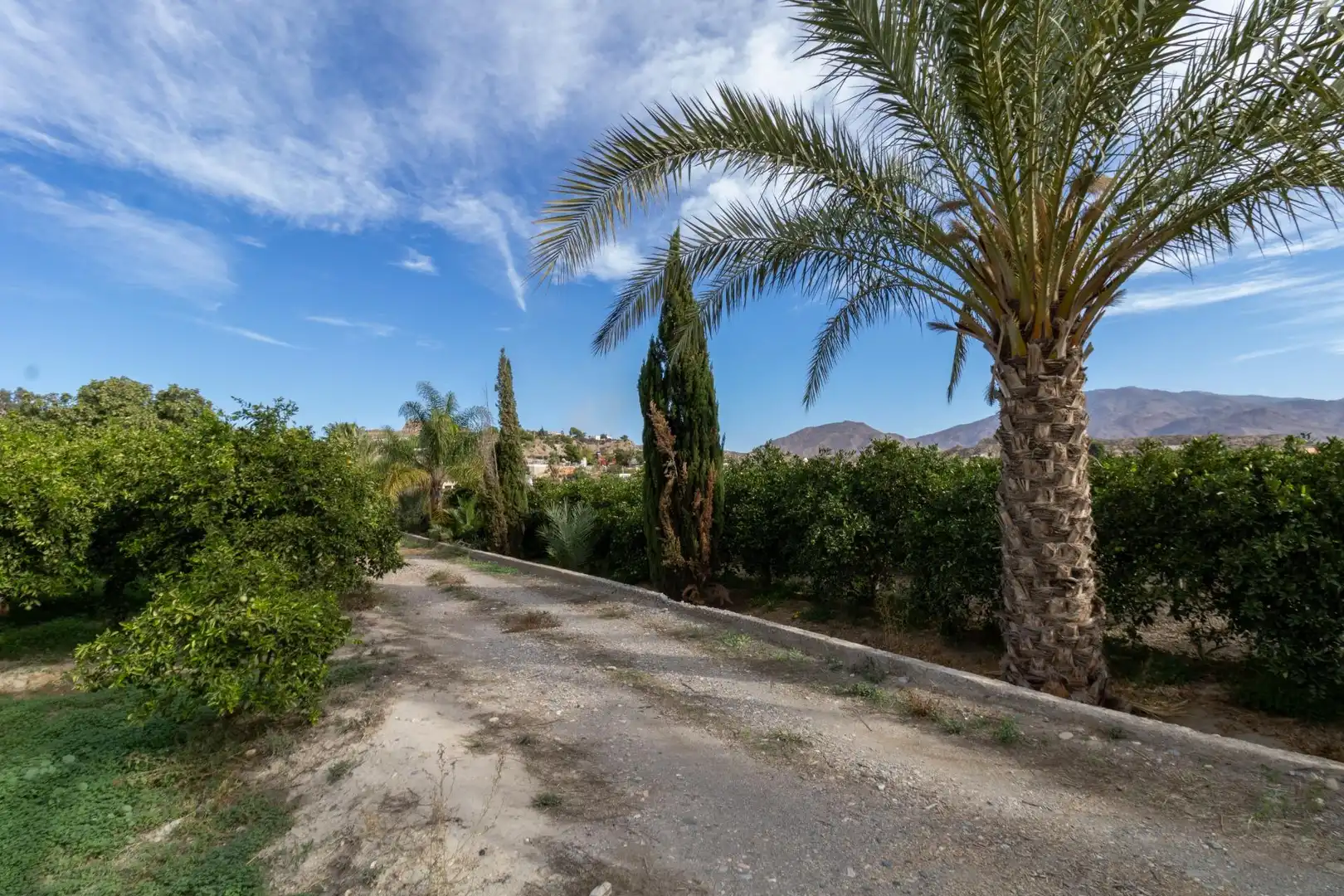 Exterior view of Land for sale in Santa Fe de Mondújar