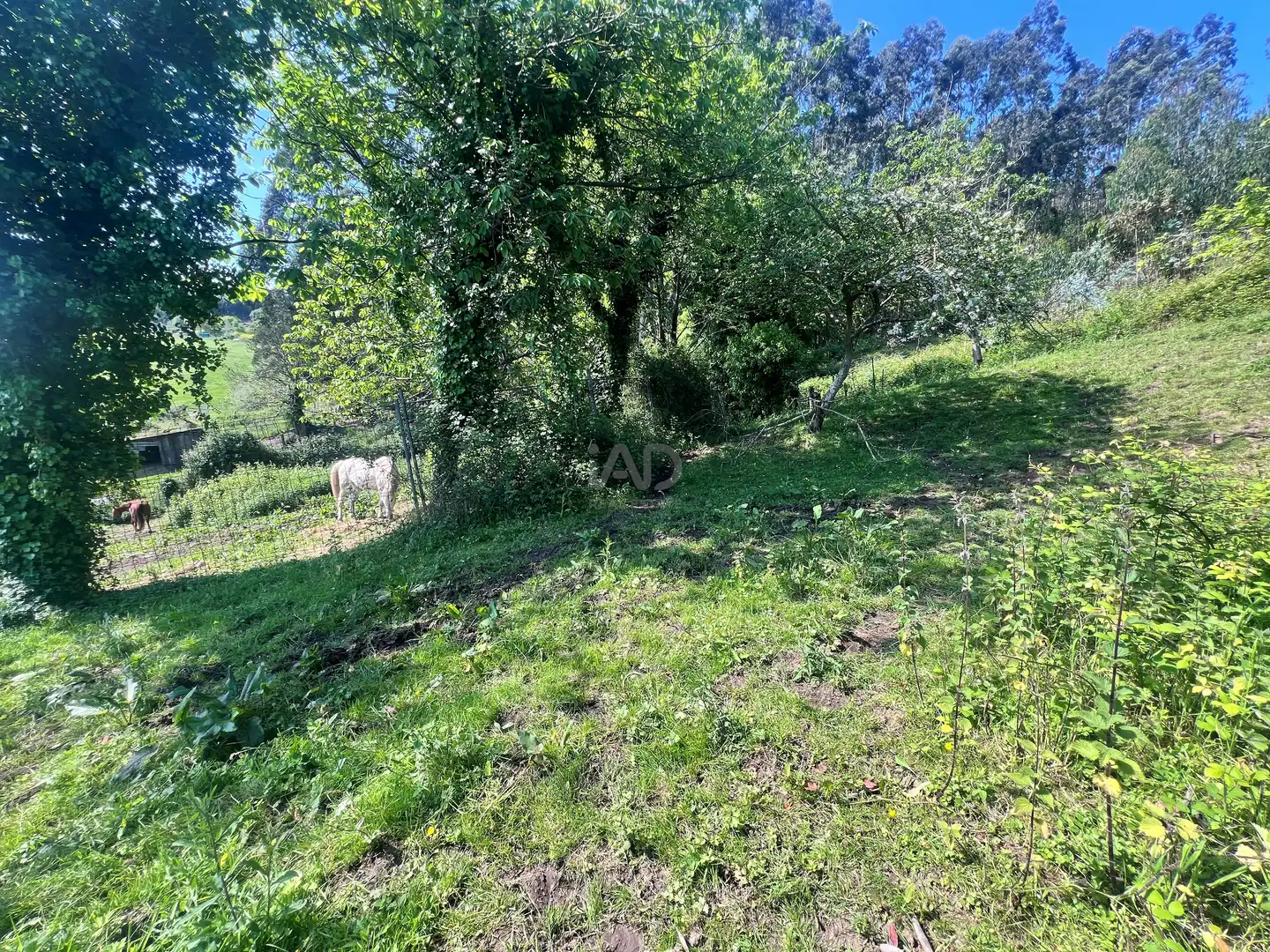Einfamilien-Reihenhaus zum Verkauf in Castrillón