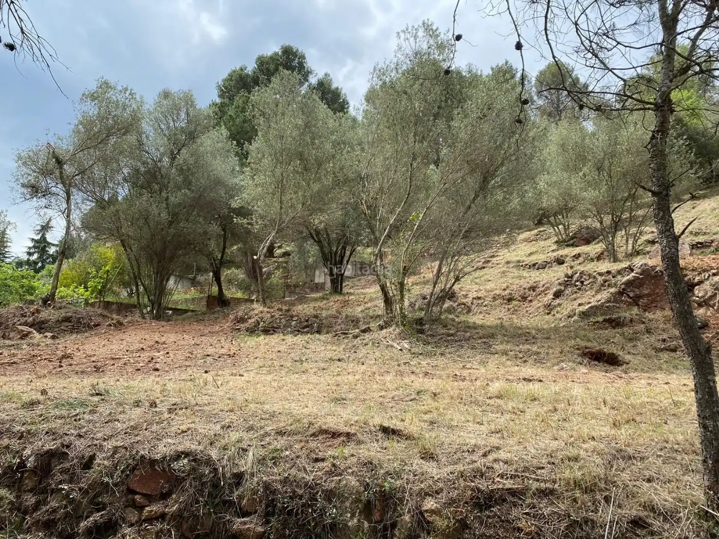 Terreno residencial en venta en Carrer de l'Óssa Major 18, imagen 7