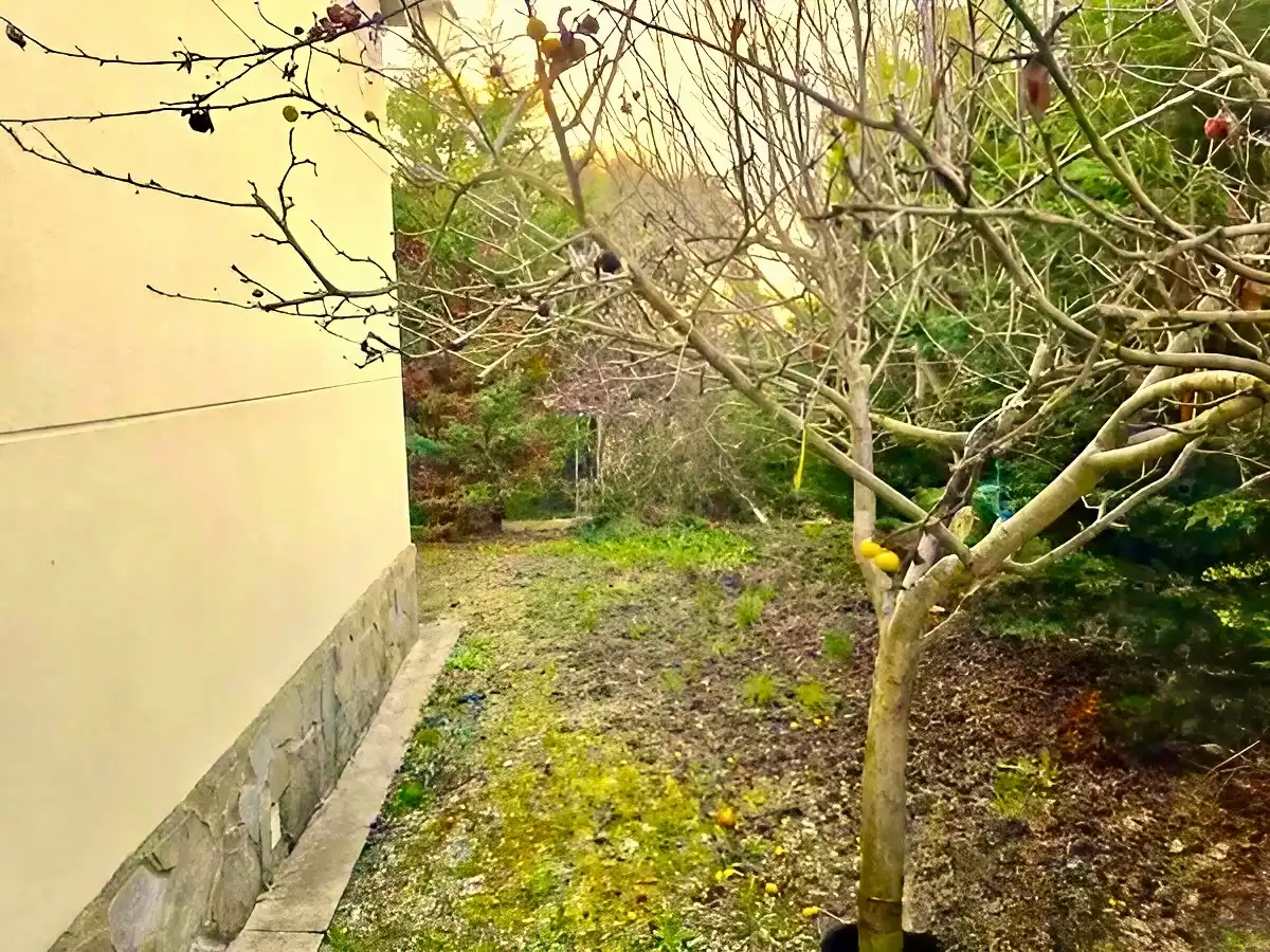 Chalet con jardín en venta en Calle Mayor 1, imagen 15