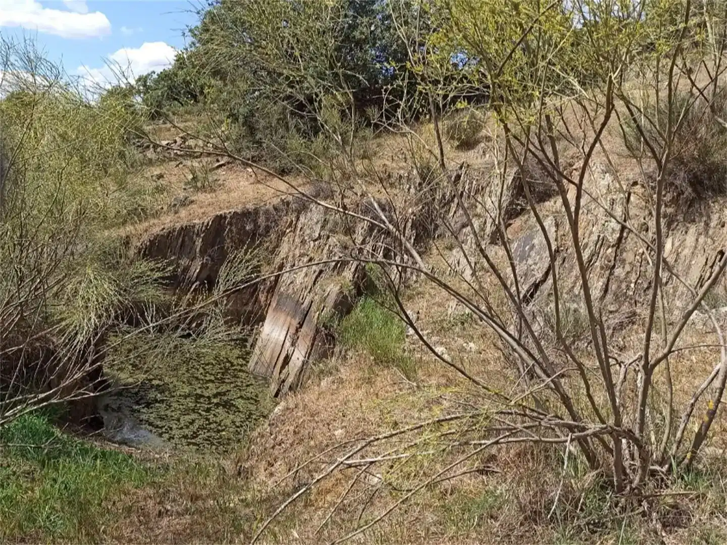Land for sale in Jaraicejo, Cáceres