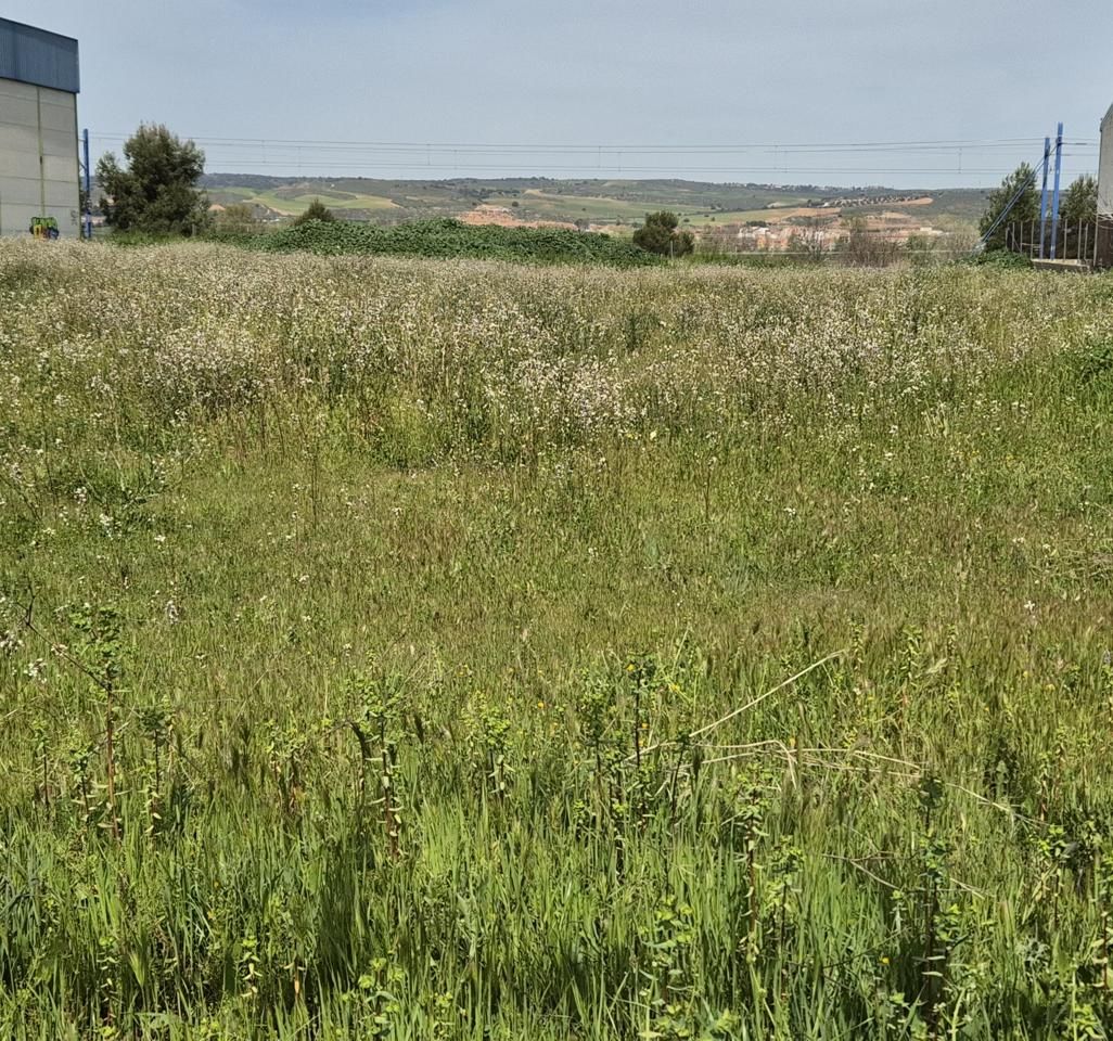 Industrial land for sale in  Toledo Capital