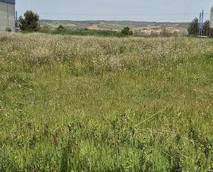 Industrial land for sale in  Toledo Capital