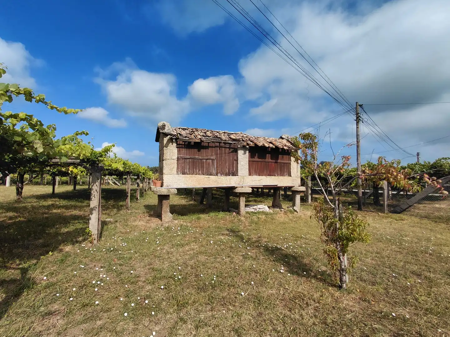 Vista exterior de Finca rústica en venda en Cambados amb Calefacció, Jardí privat i Forn