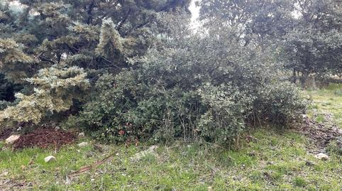 Photo 2 of Residential for sale in Calle Río Bornova, Galápagos, Guadalajara