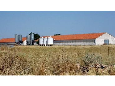 Terrain rustique à vendre à Carretera CTRA MADRID - CIUDAD REAL N430