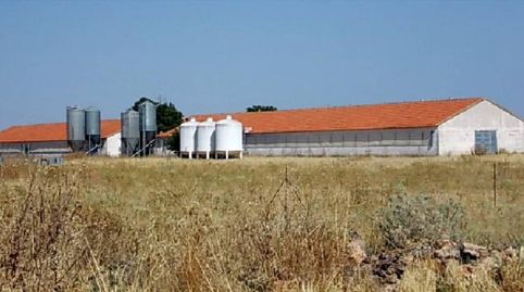 SE VENDE FINCA RÚSTICA CON GRANJA DE 10 HAS EN DAIMIEL, immagine 2
