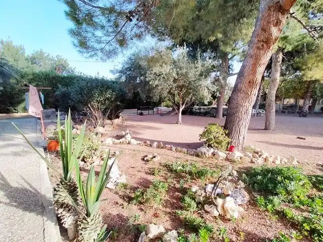 Garden of Houses for sale in Alicante / Alacant  with Private garden, Terrace and Swimming Pool