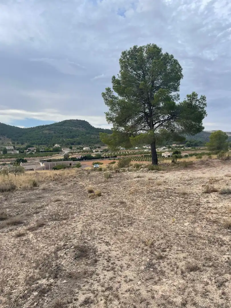 Wohnbaugrundstück zum Verkauf in El Pinós / Pinoso, imagen 21