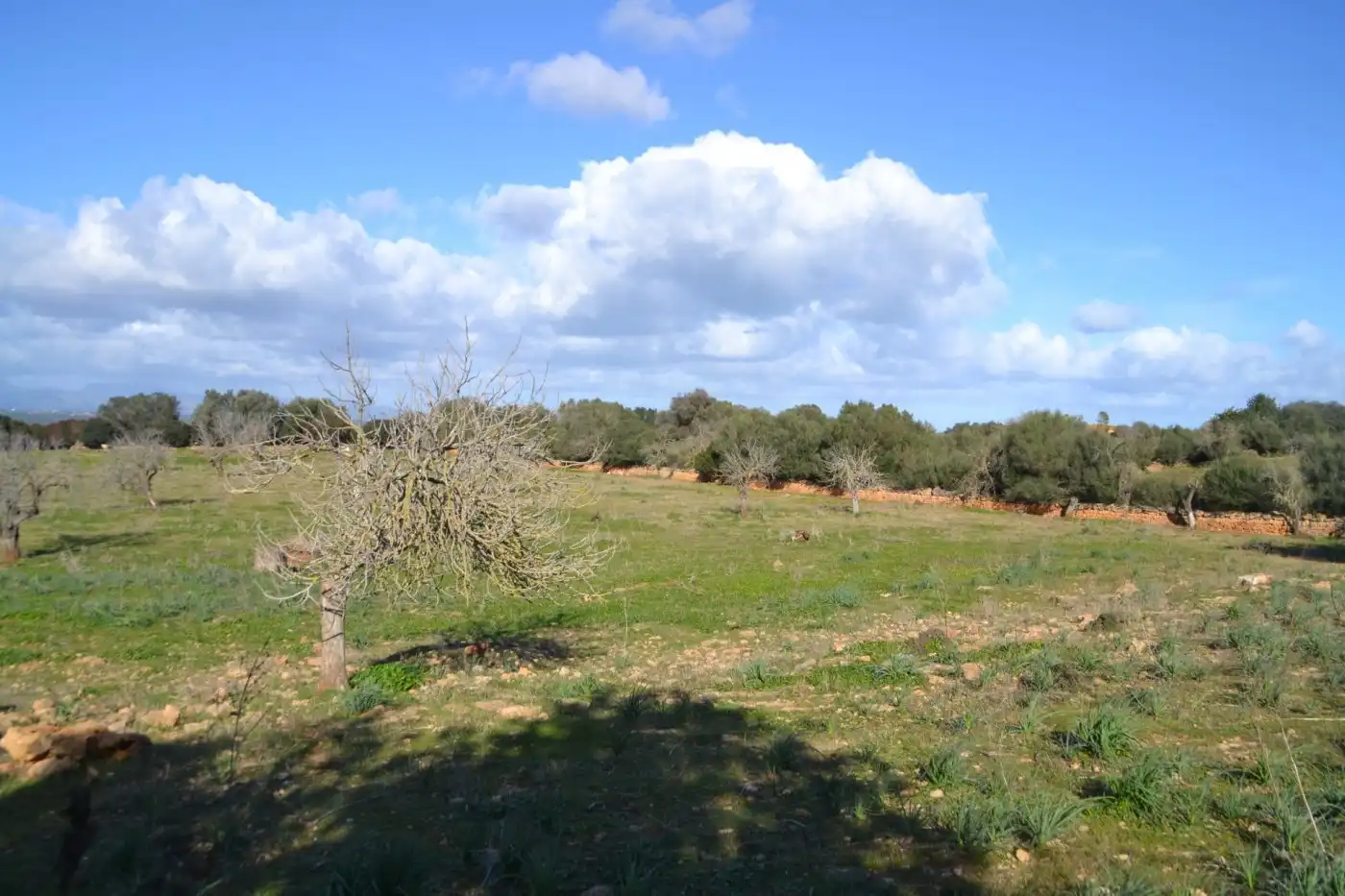 Maison rustique à vendre à Manacor Centre, imagen 8