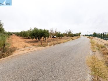 Terreny industrial en venda a Escúzar