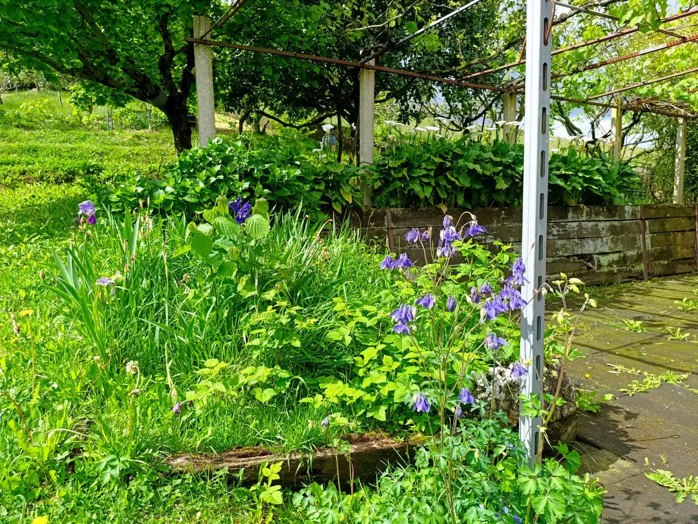 Jardín de Terreno en venta en Ortuella