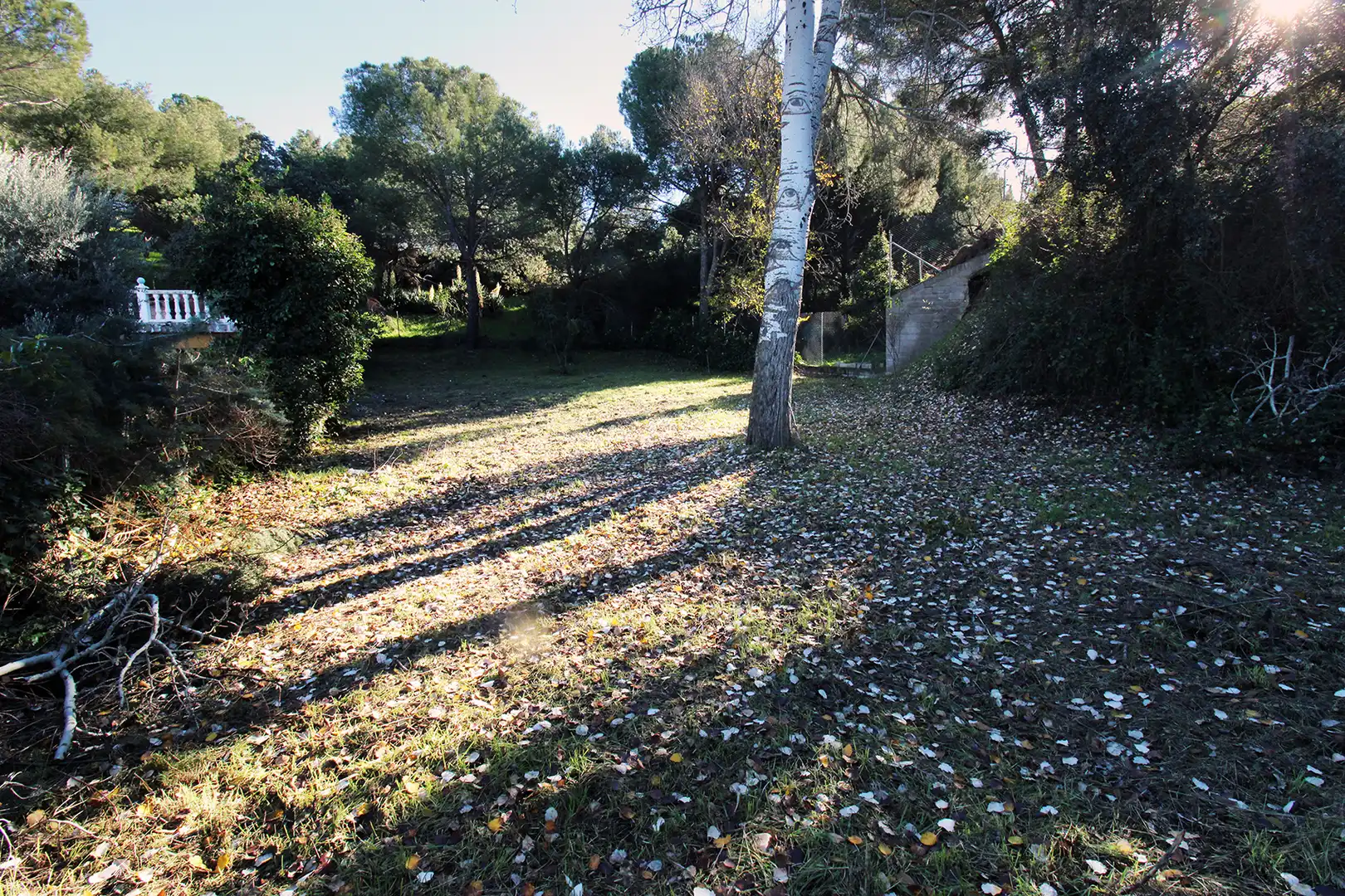 Terrain résidentiel à vendre à Calle Urbanización Peñarrubia, imagen 7