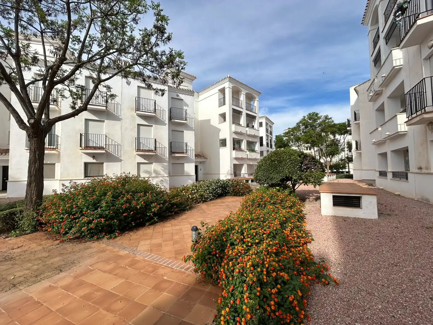 Vista exterior de Ático en venta en La Torre Golf