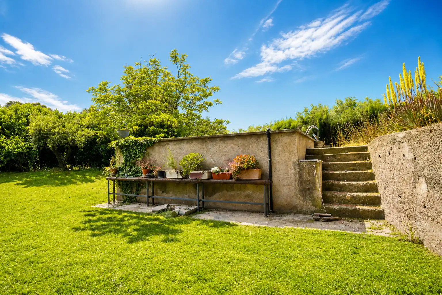 Jardín de Casa o chalet en venta en Riudecanyes con Jardín privado, Terraza y Trastero