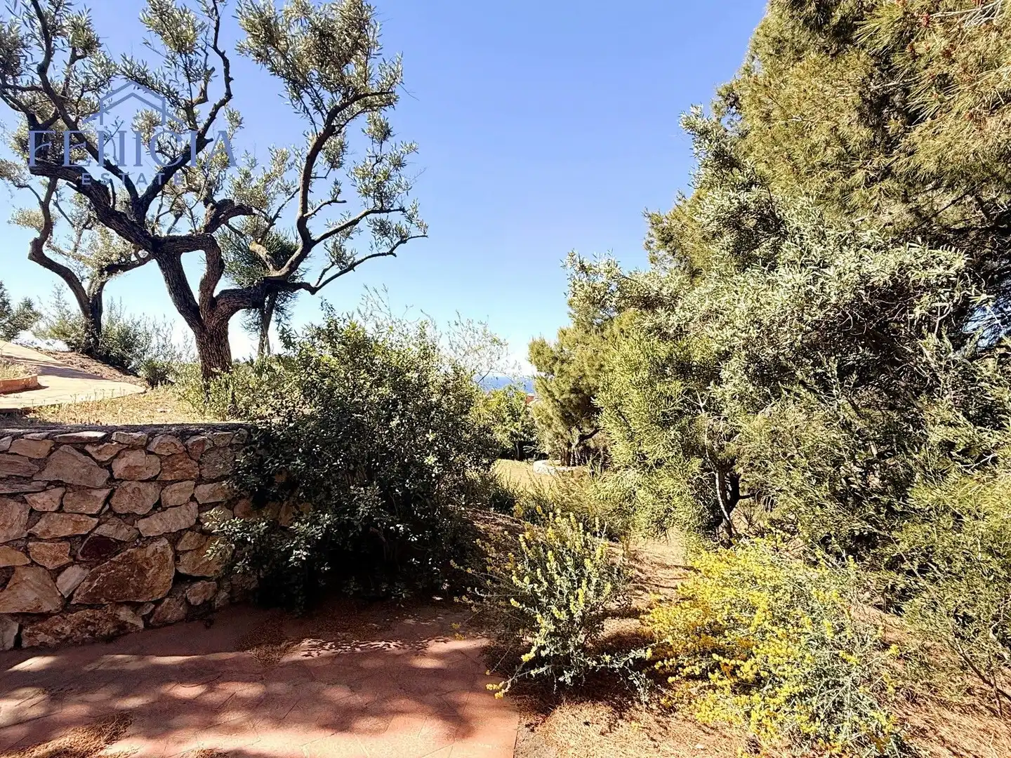 Jardín de Casa o chalet en venta en Almuñécar con Jardín privado, Terraza y Trastero