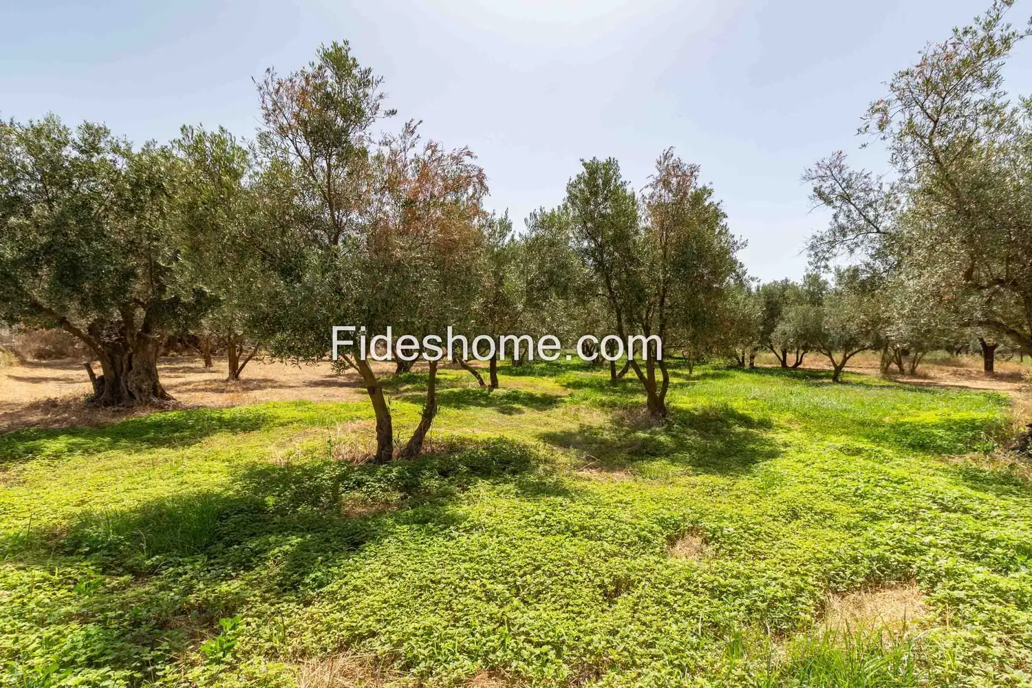 Rural land for sale in XFG2+MG9 Nigüelas 0, imagen 29