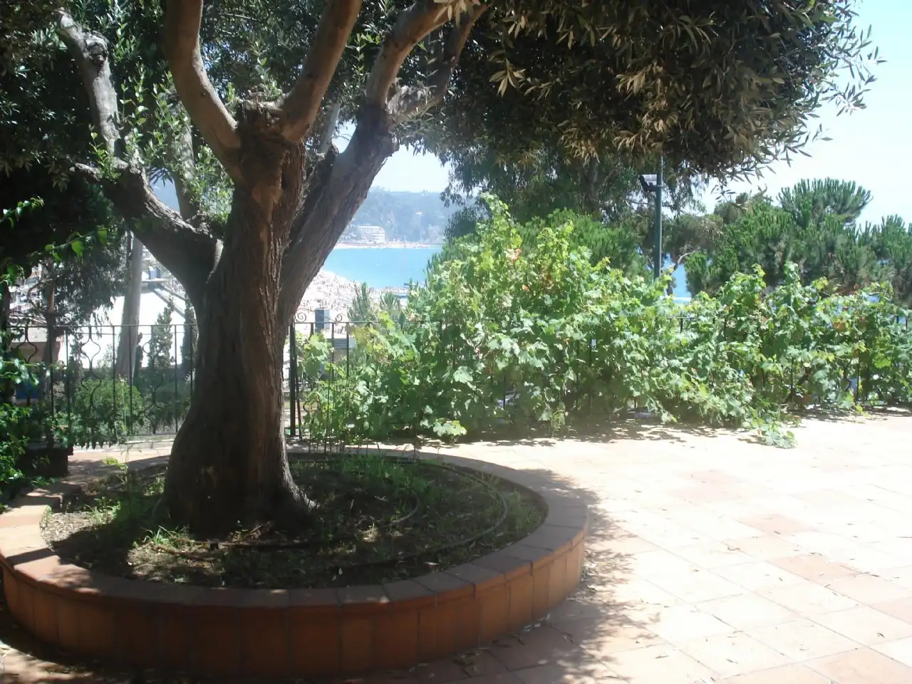 House with pool for sale in Centre, imagen 12