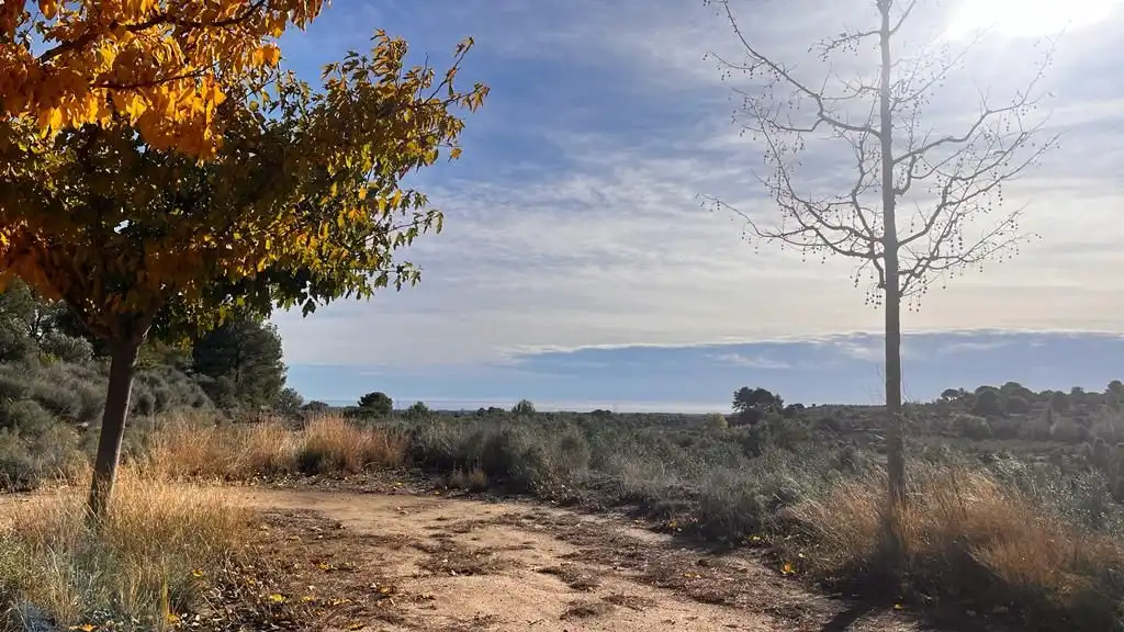 Terreny rústic en venda a Carrer del Dimecres, imagen 11