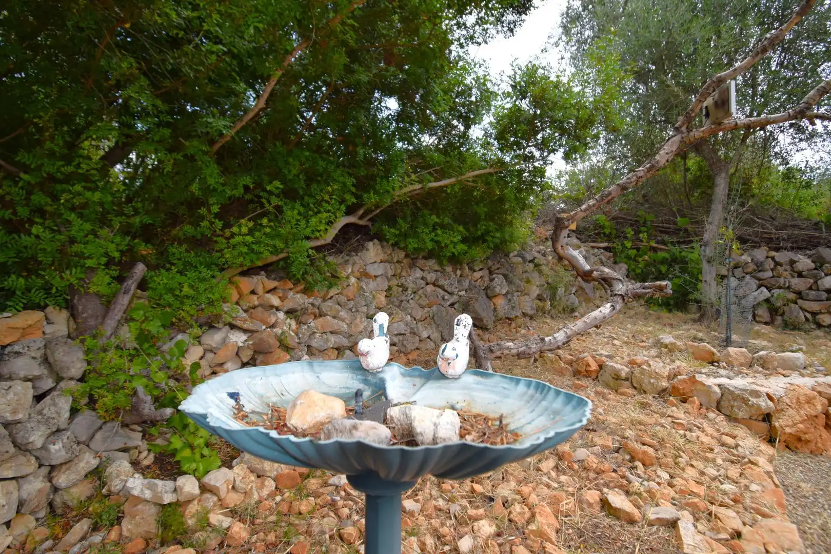 Finca rústica en venda a Petra