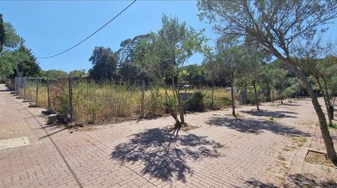 OPORTUNIDAD DE INVERSIÓN EN PALAFRUGELL, imatge 2
