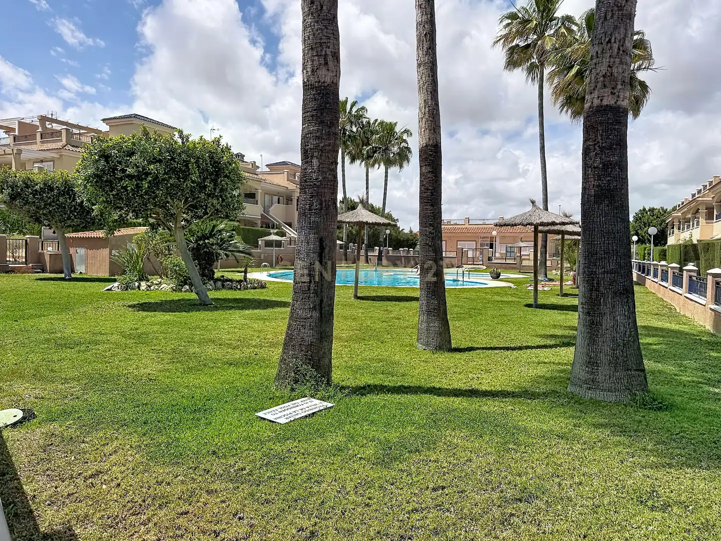 Swimming pool of Detached homes for rent in Pilar de la Horadada  with Air Conditioner and Community pool