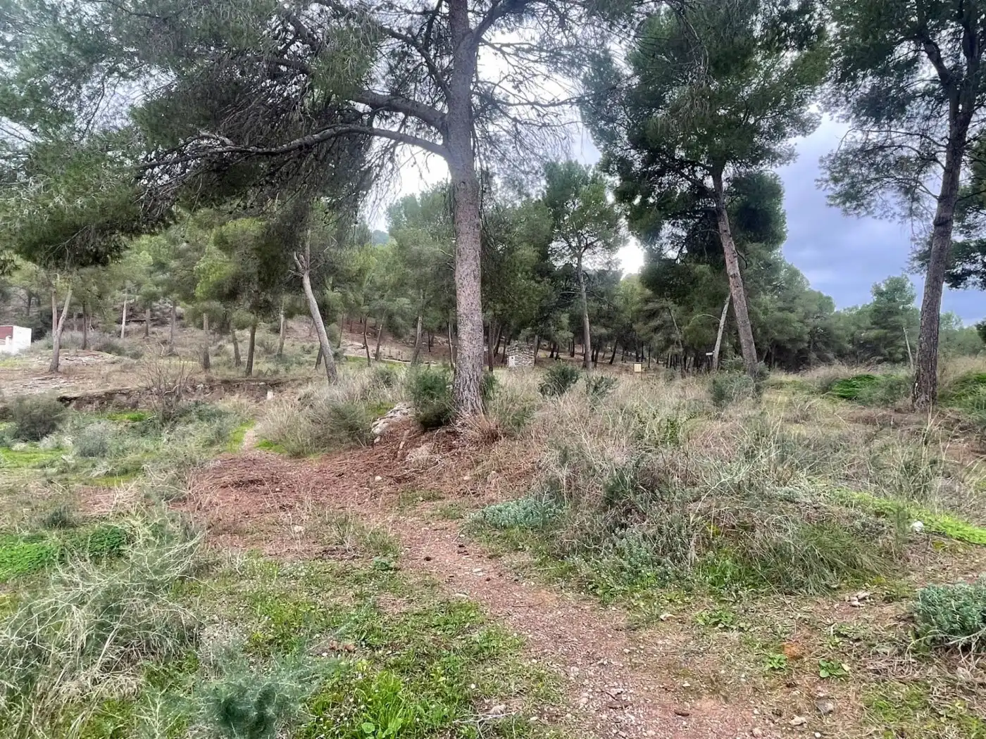 Terreno residenziale in vendita a Pedanías Este, imagen 3