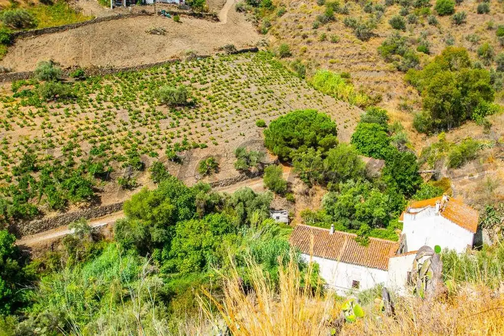 Rustikales Grundstück zum Verkauf in Torrox Pueblo, imagen 3