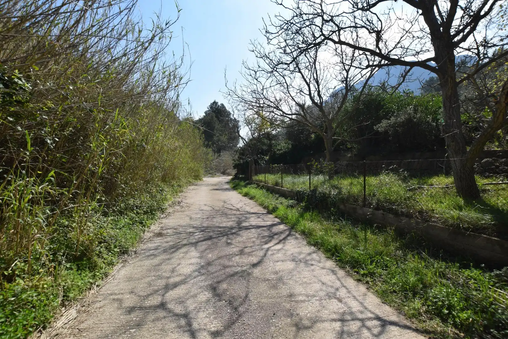Vista exterior de Casa o xalet en venda en Alfara de Carles amb Terrassa, Traster i Piscina