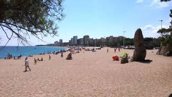 Terreny residencial en venda a Platja d'Aro, imagen 3