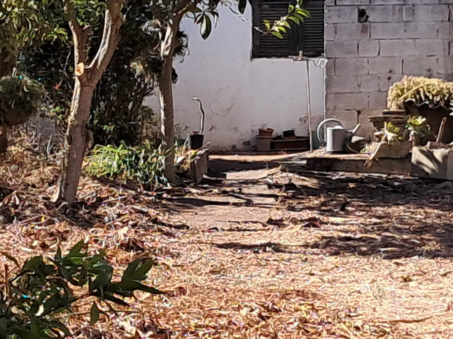 Jardí de Casa o xalet en venda en San Cristóbal de la Laguna amb Jardí privat