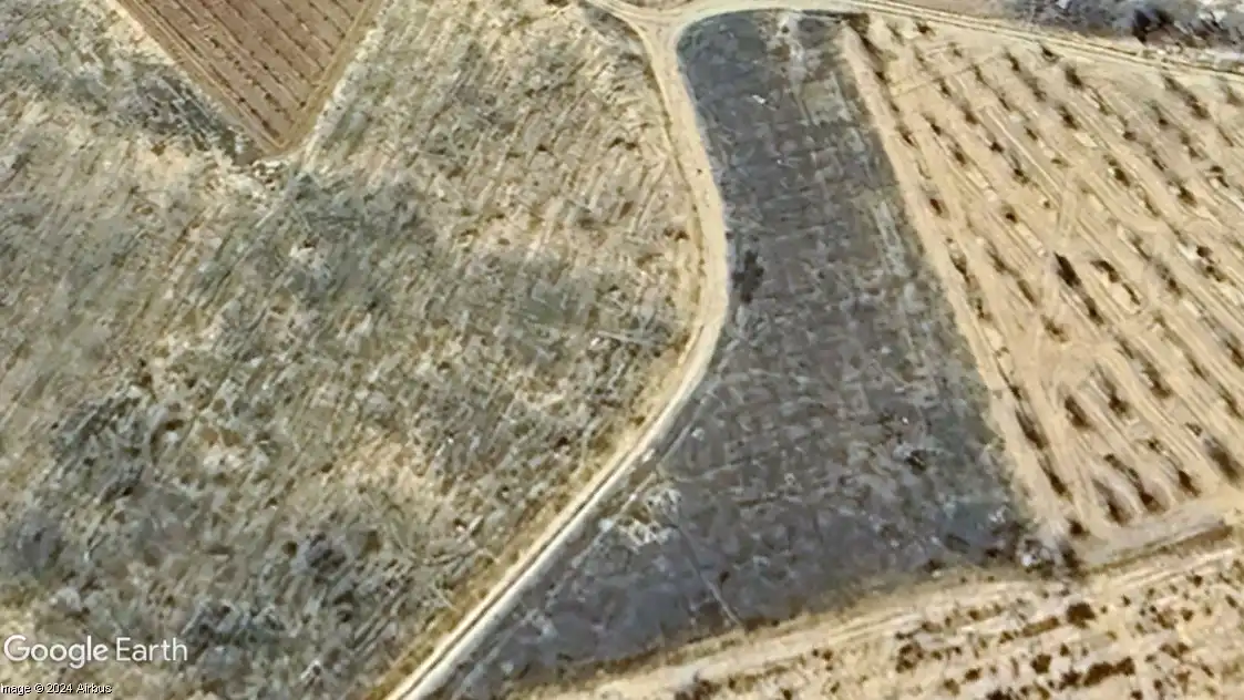 Rural land for sale in Madrigueras, imagen 4