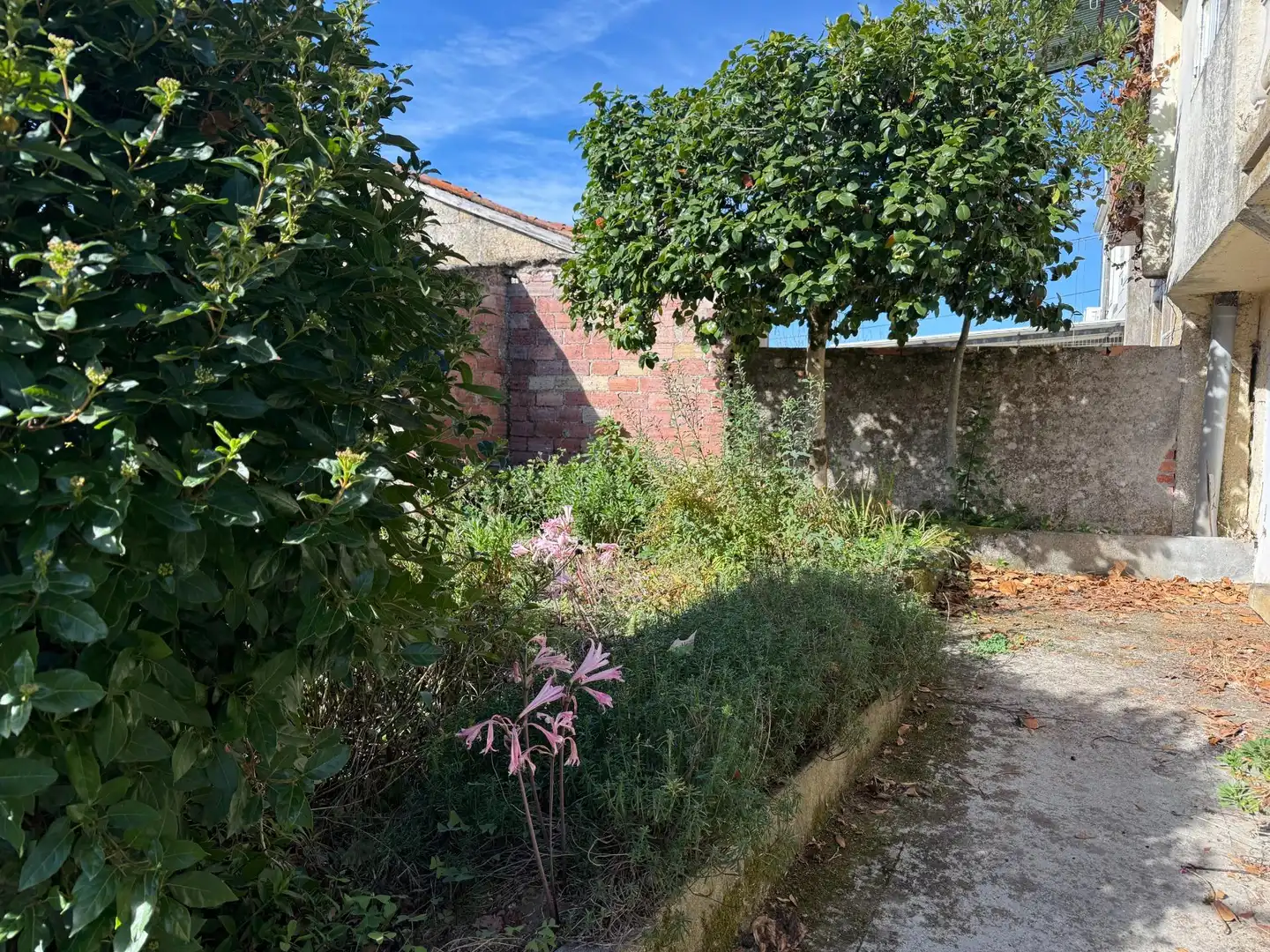 Haus mit Terrasse zum Verkauf in O Carballiño, imagen 32