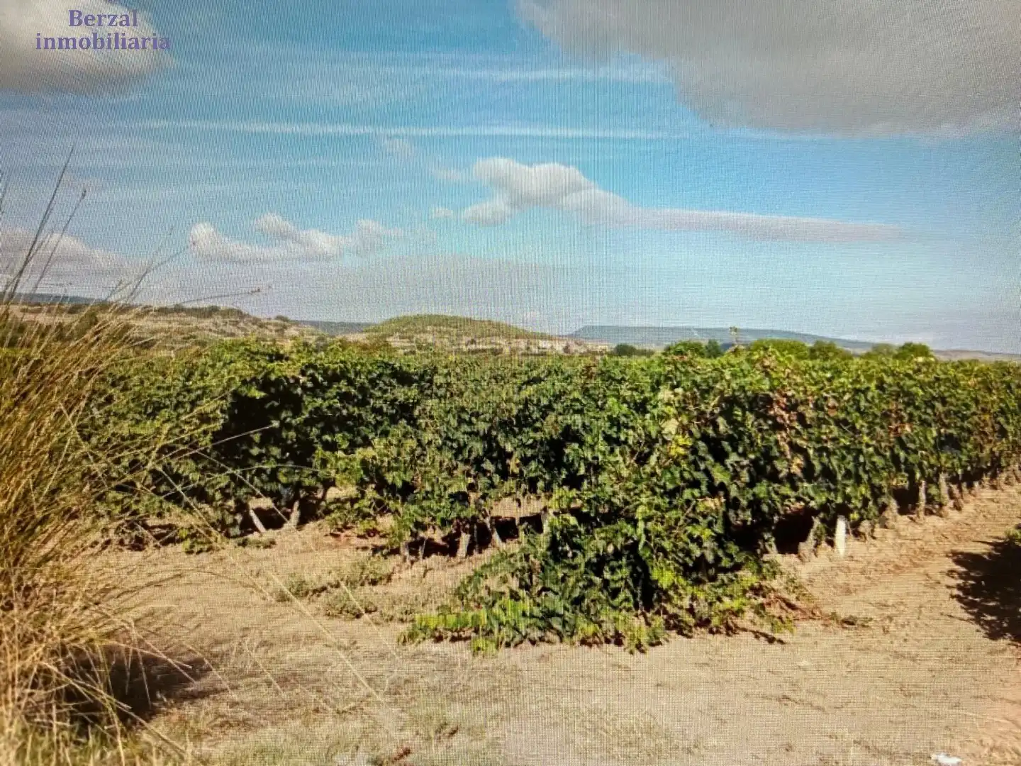 Rustikales Grundstück zum Verkauf in Polígono 5, imagen 6