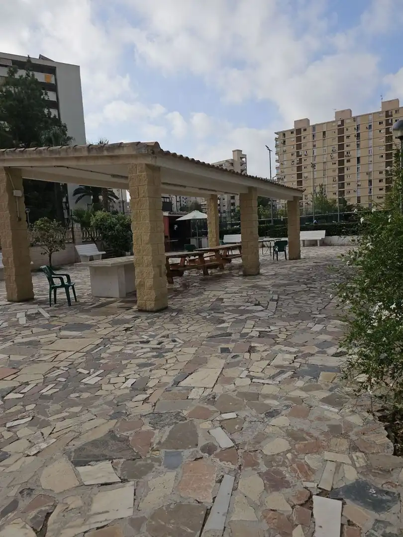 Flat with terrace for sale in Avenida Avenida Holanda 20, imagen 28