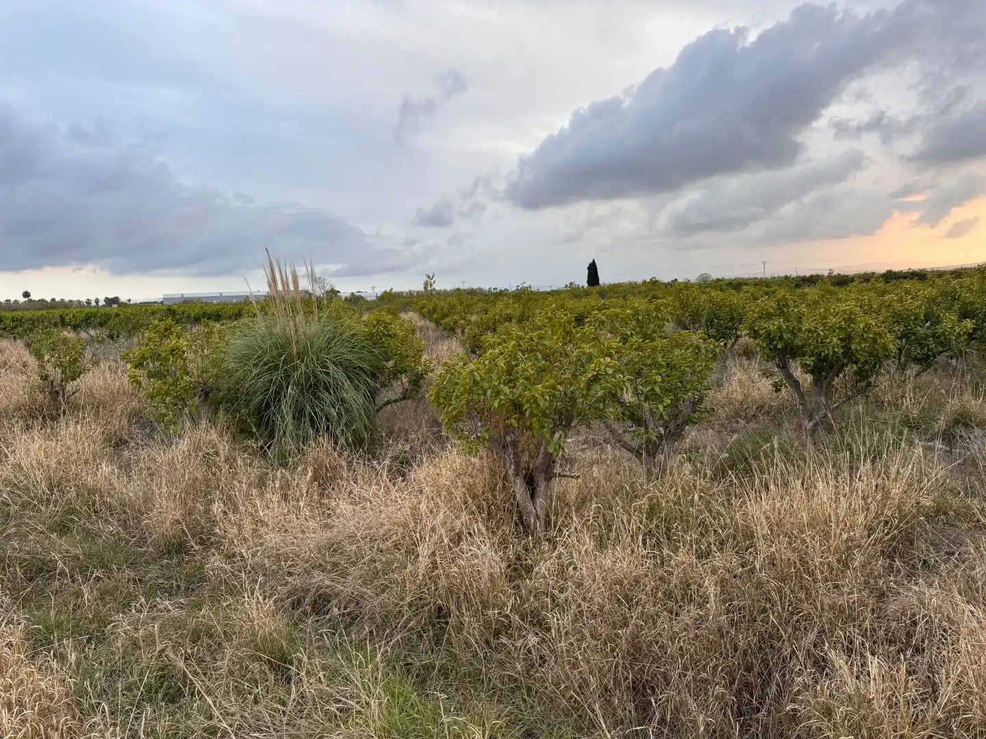 Terrenos y solares en venta en Polígono 10 Parcela 62, imagen 18