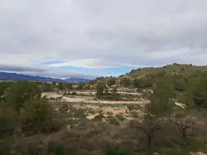 Terreno rustico in vendita a Carrer la Torreta, imagen 13