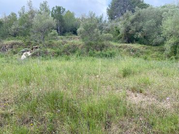 Residential land for sale in Castellvell del Camp