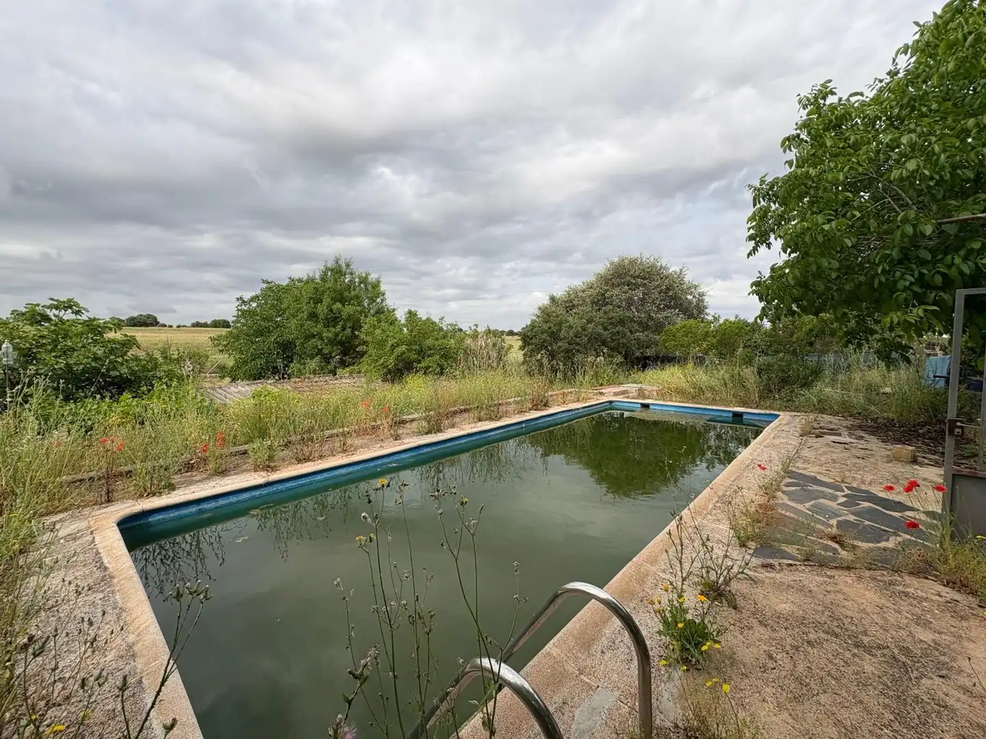 Piscina de Casa o xalet en venda en Pioz amb Calefacció, Jardí privat i Traster