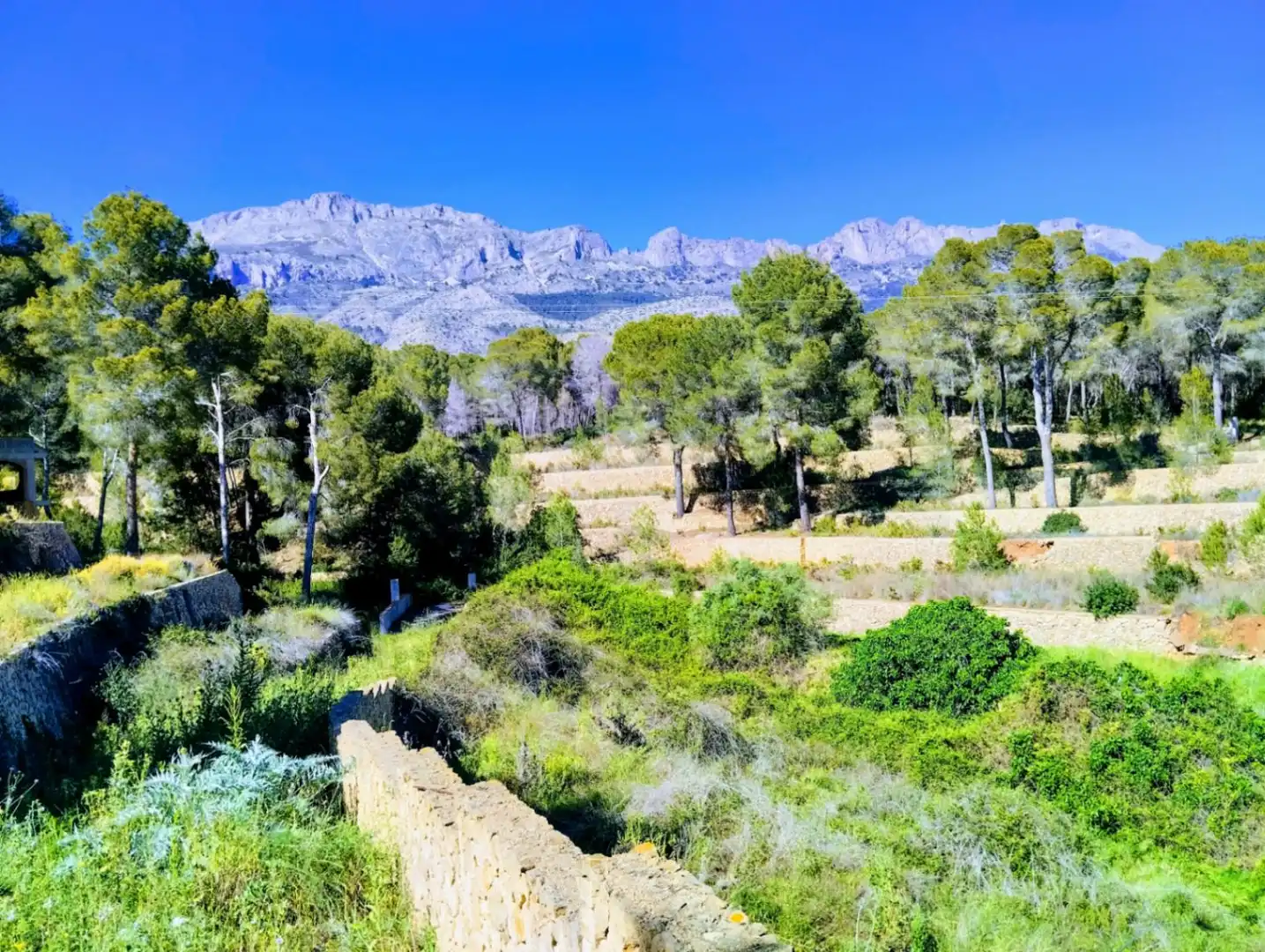 Villa con piscina in vendita a Altea la Vella, imagen 38