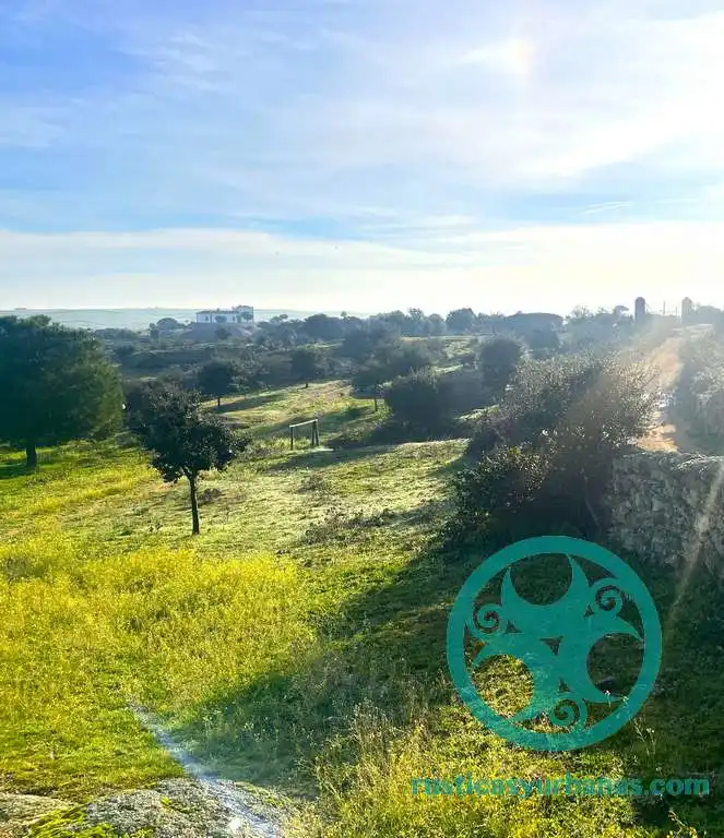 Terreni e lotti in vendita a Casar de Cáceres, imagen 4