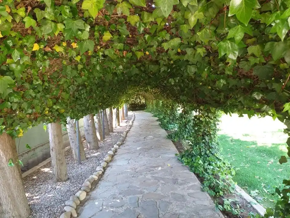 Land for sale in Tudela