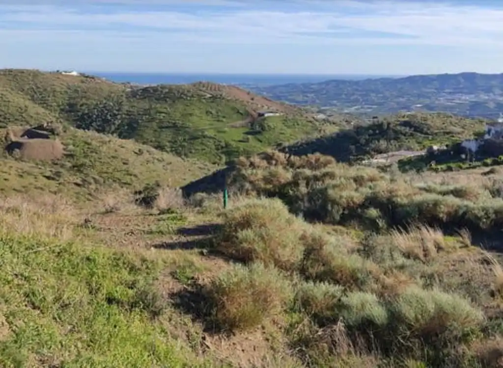 Vista exterior de Finca rústica en venda en Vélez-Málaga