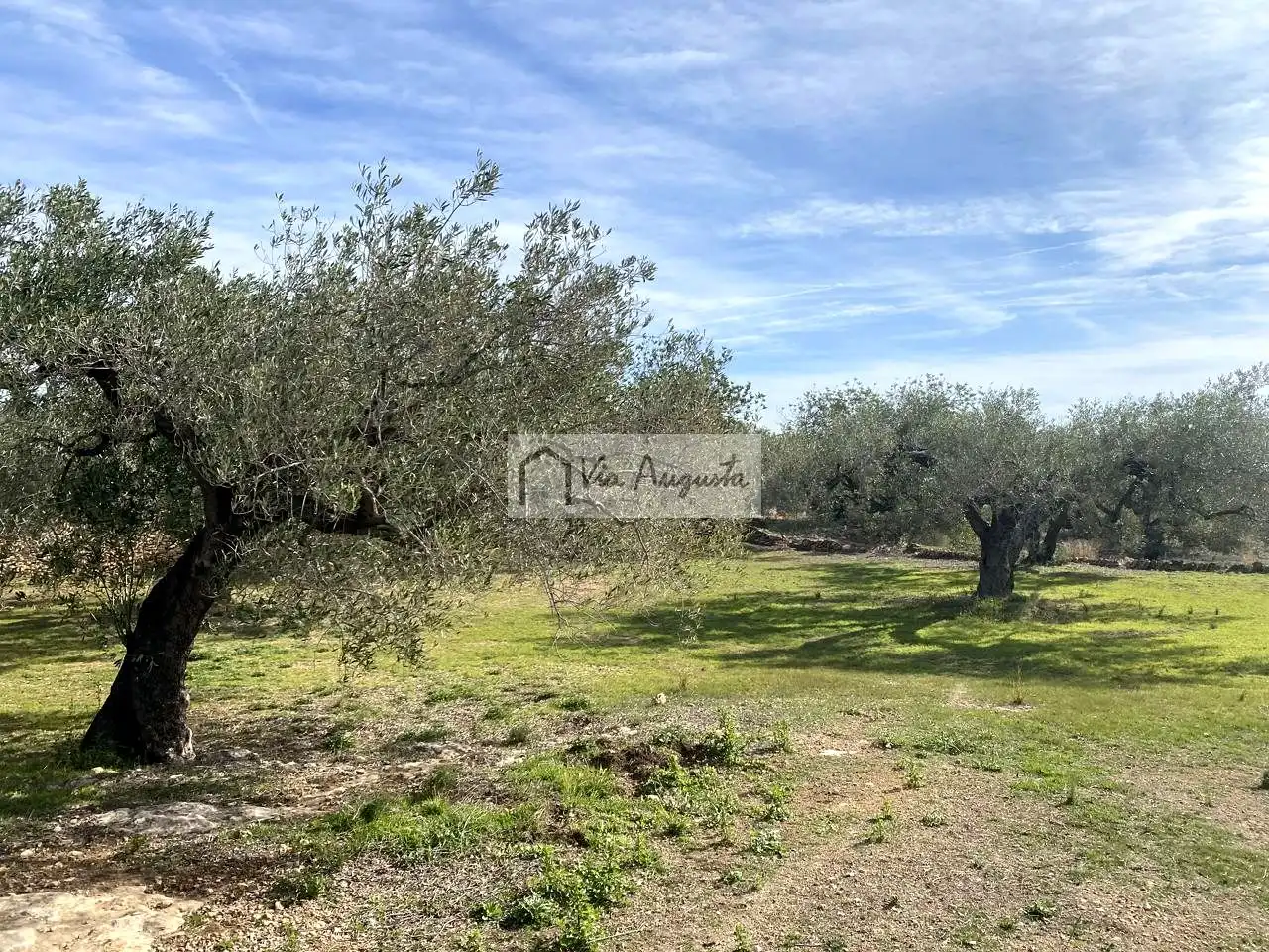 Terreno rustico in vendita a Planas, imagen 3