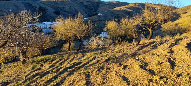 Terreno en Venta en Albondón