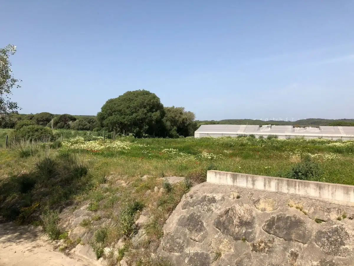 Terreni e lotti in vendita a Barbate ciudad, imagen 15
